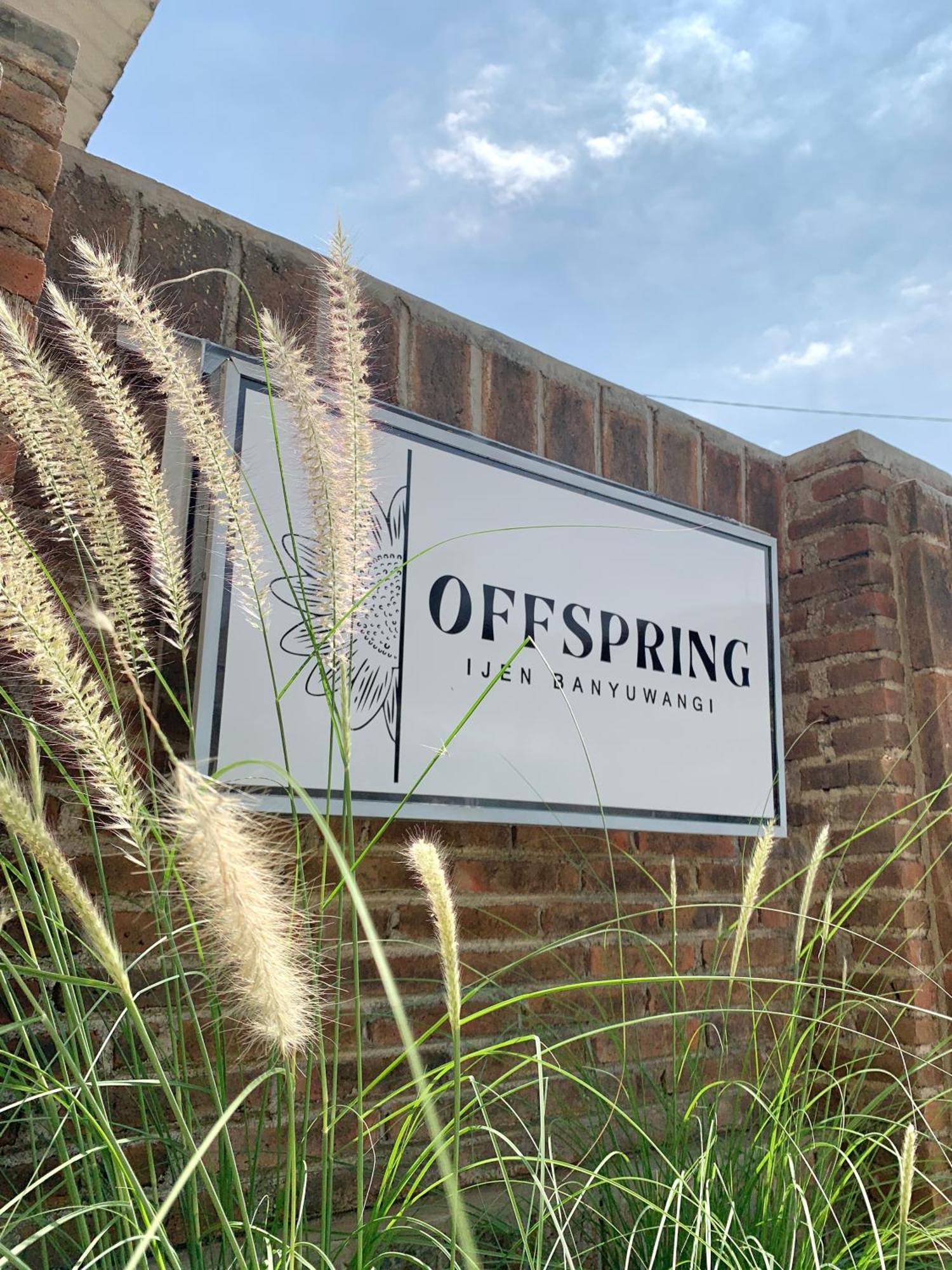 Offspring Ijen Hostel Banyuwangi Extérieur photo